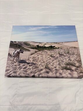 20” x 16” Canvas Wall Art – Dog in Sand Dunes
